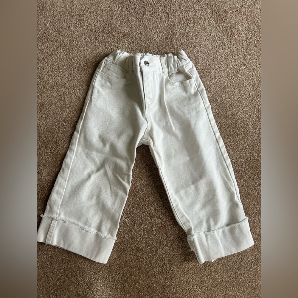 Zara Pants